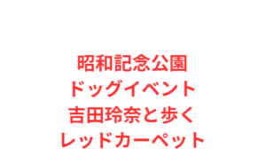 昭和記念公園ドッグイベント吉田玲奈と歩くレッドカーペット