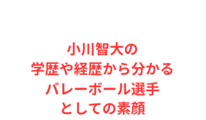 小川智大の学歴や経歴から分かるバレーボール選手としての素顔