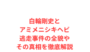 白輪剛史とアミメニシキヘビ逃走事件の全貌やその真相を徹底解説
