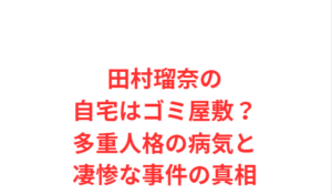 田村瑠奈の自宅はゴミ屋敷？多重人格の病気と凄惨な事件の真相
