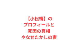 【小松暢】のプロフィールと死因の真相やなせたかしの妻