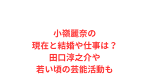 小嶺麗奈の現在と結婚や仕事は?田口淳之介や若い頃の芸能活動も