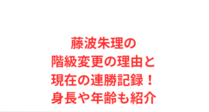 藤波朱理の階級変更の理由と現在の連勝記録！身長や年齢も紹介