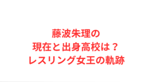 藤波朱理の現在と出身高校は?レスリング女王の軌跡